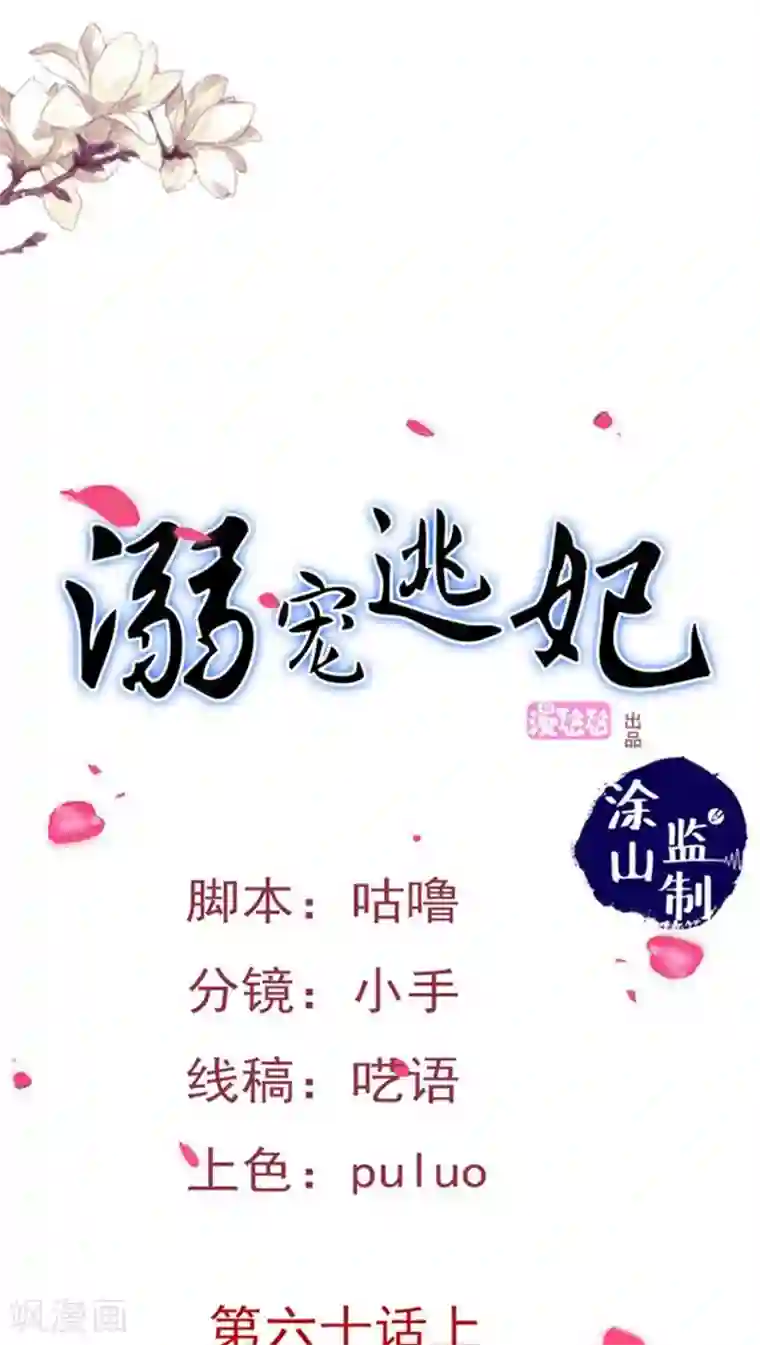 溺宠逃妃第65话 收留她