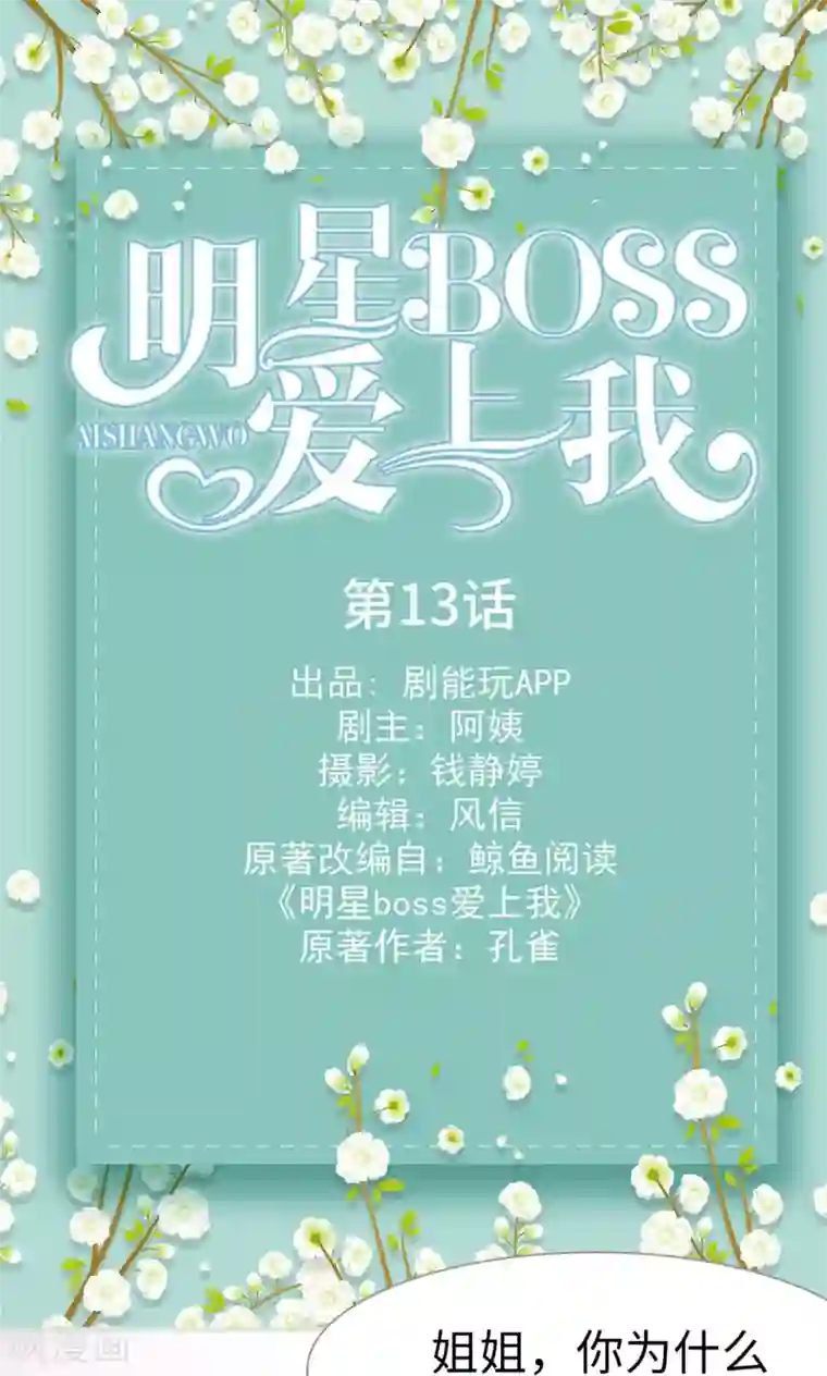 明星boss爱上我第13话