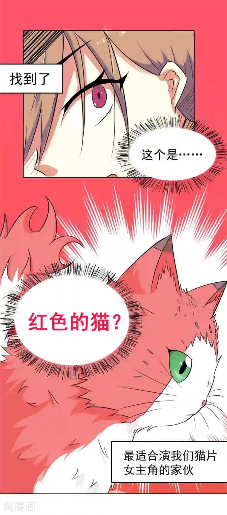 猫的制作人第8话