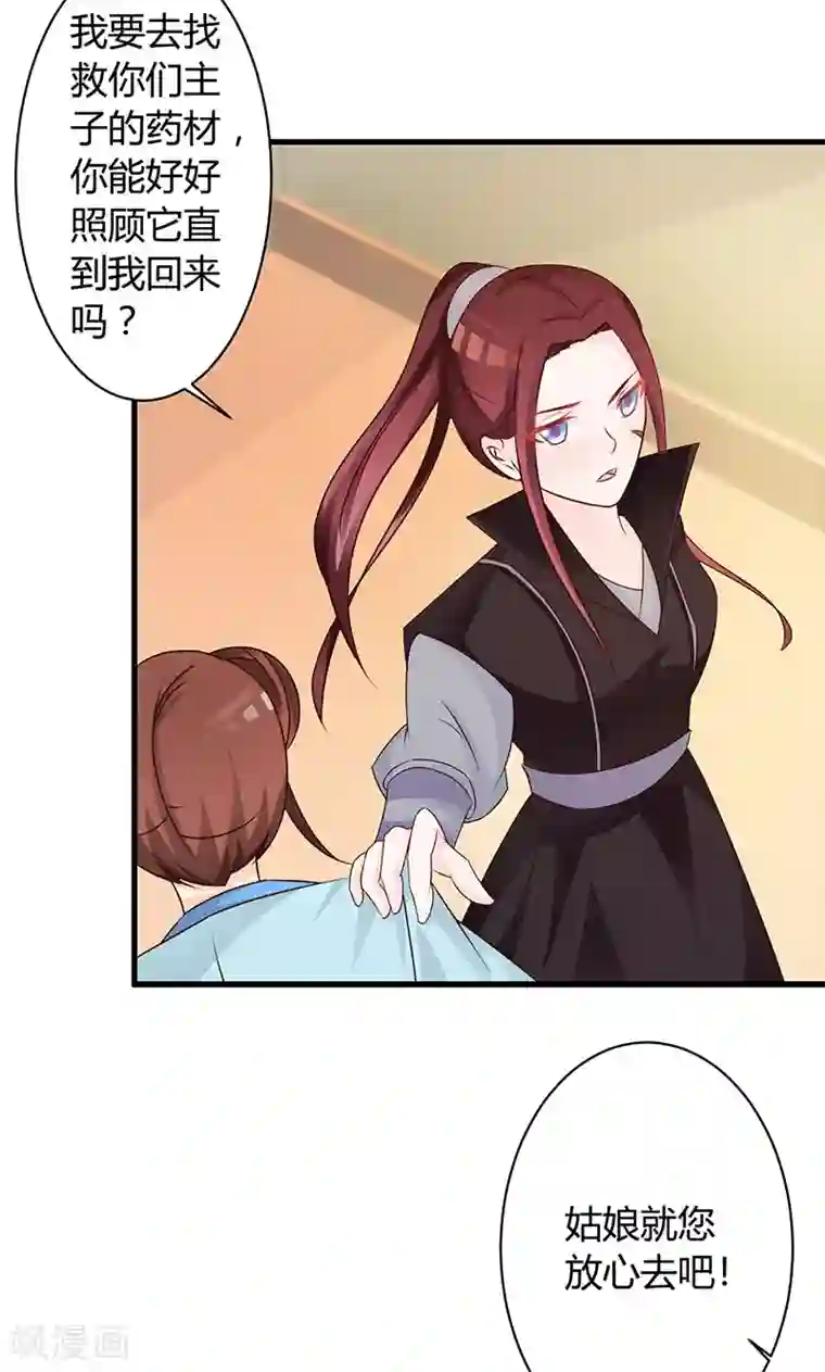 妖孽王爷第19话 最珍贵的药材
