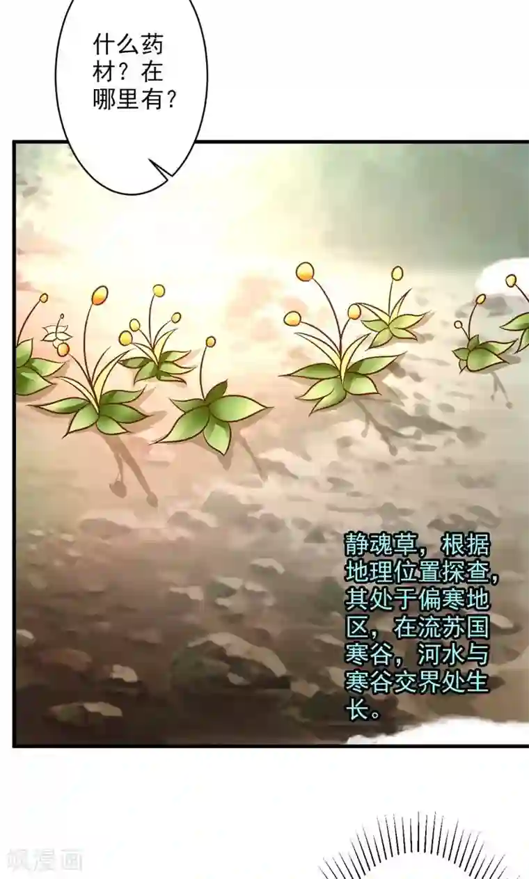 妖孽王爷第35话 疗伤