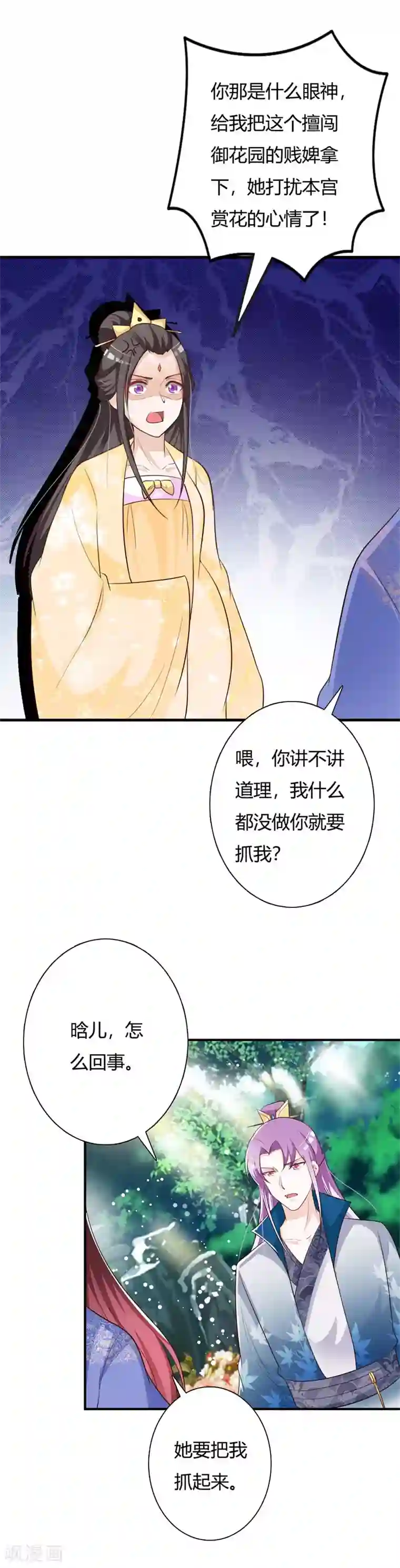 妖孽王爷第83话 流苏国之行