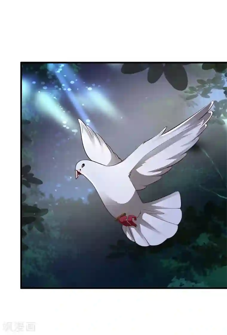 妖孽王爷第90话 师父怎么也在这？