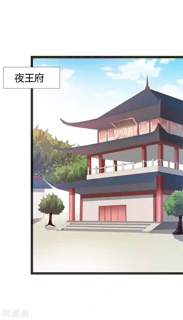 妖孽王爷第112话 造访夜王府