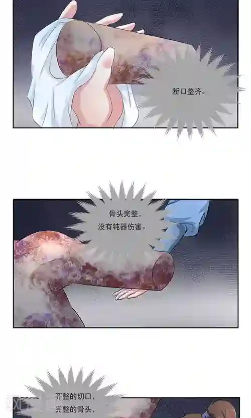 神探状元花第17话