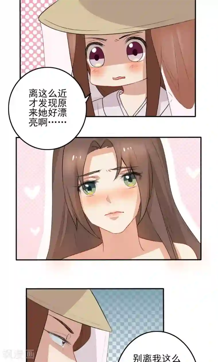 神探状元花第35话