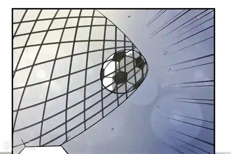 绿茵美少女最终话