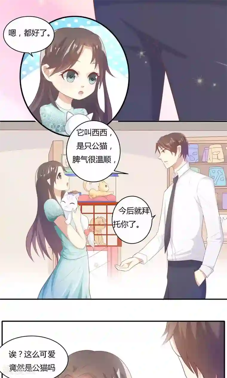 前任·再见第10话