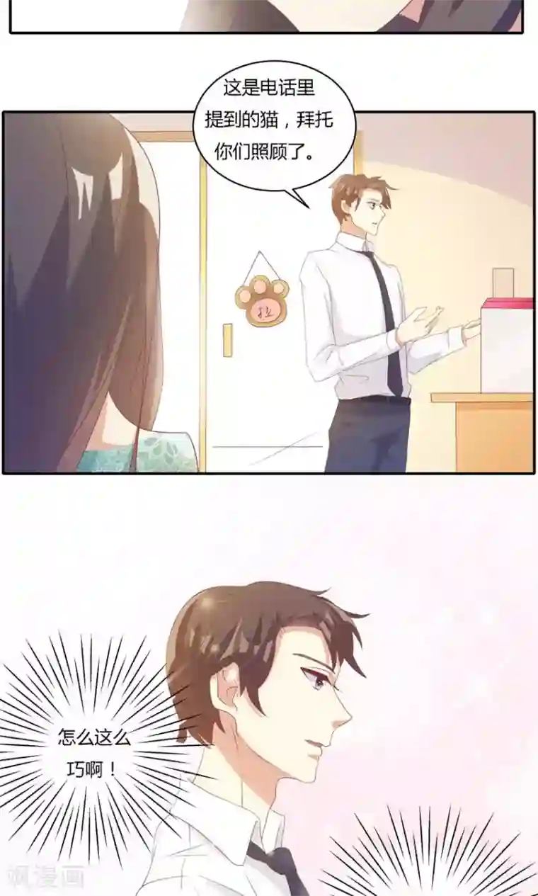 前任·再见第10话