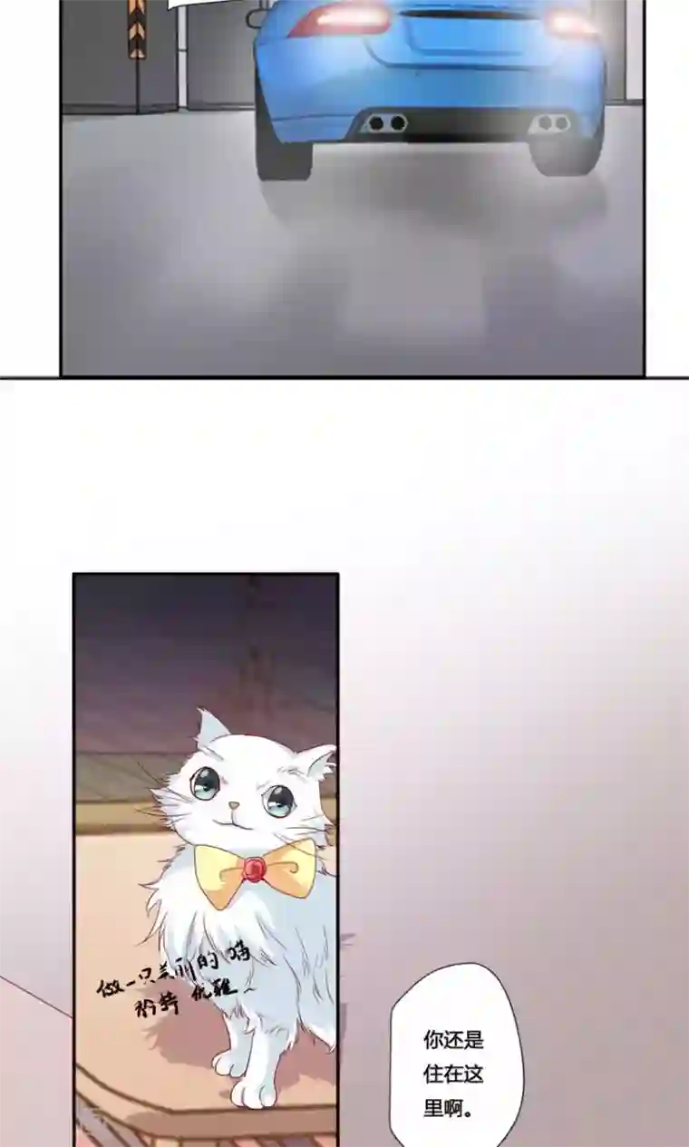 前任·再见第20话