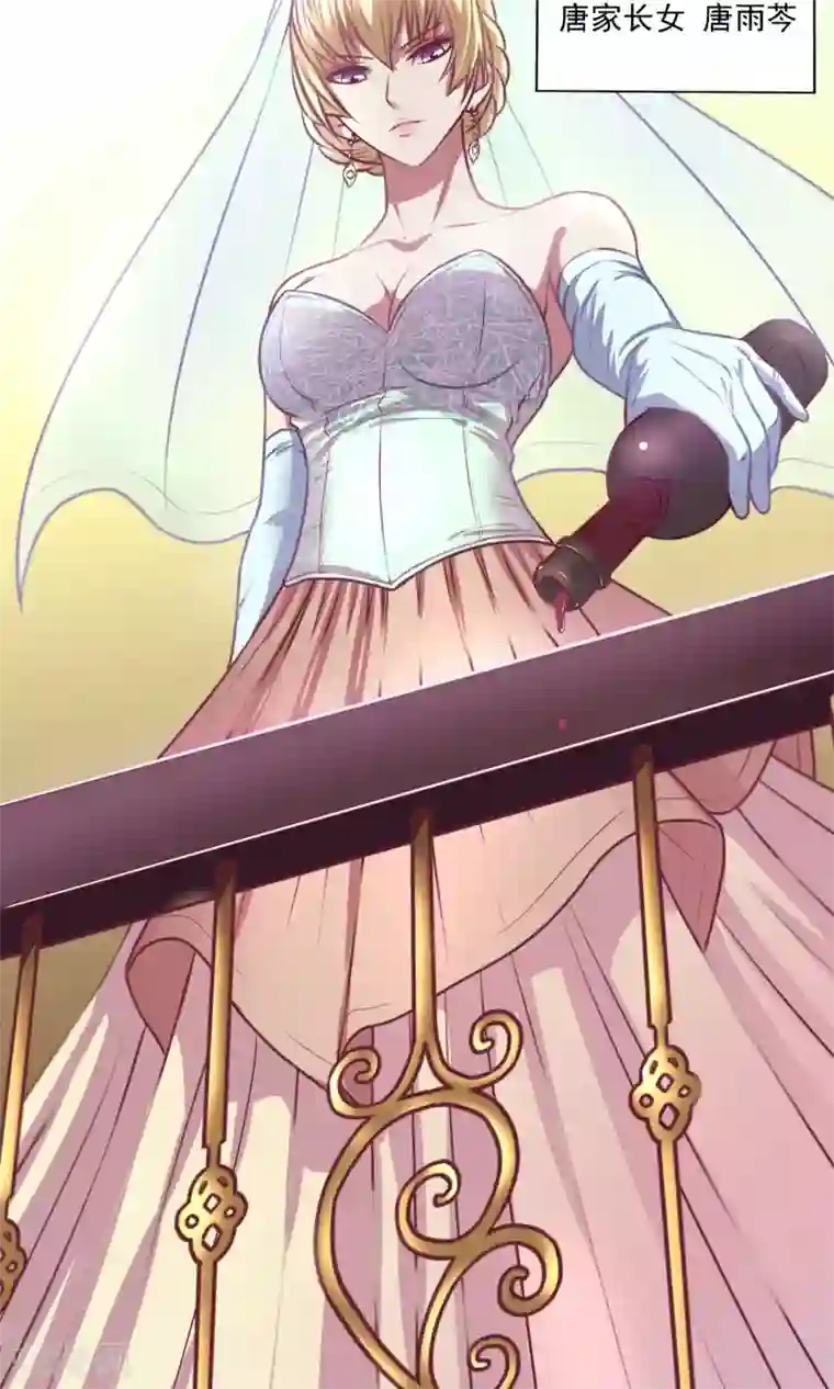 金玉花都风雨情第1话