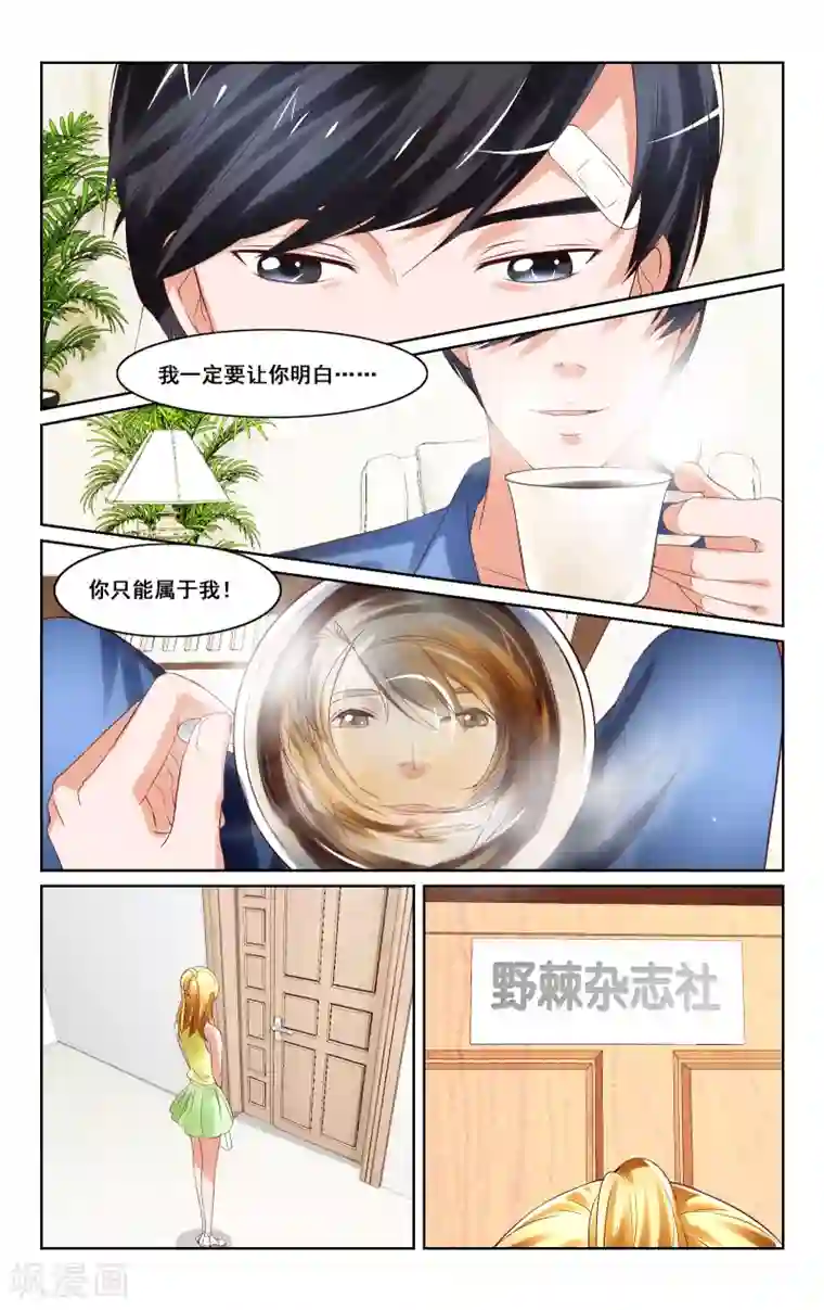 恶魔总裁专宠妻第12话