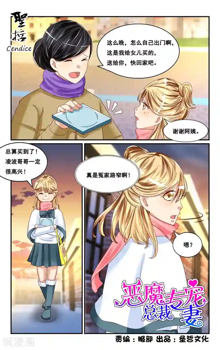 恶魔总裁专宠妻番外2