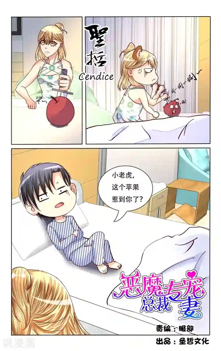 恶魔总裁专宠妻第76话