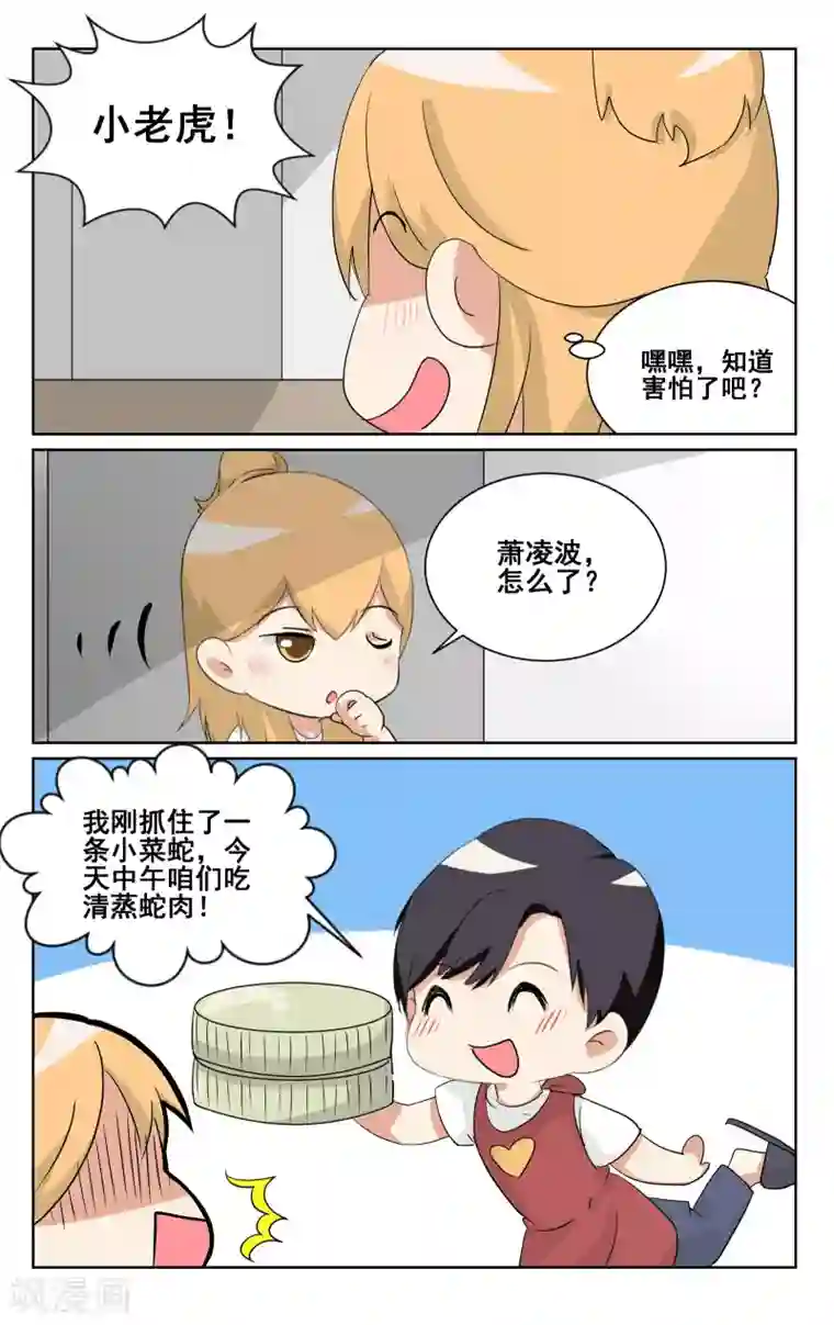 恶魔总裁专宠妻端午番外