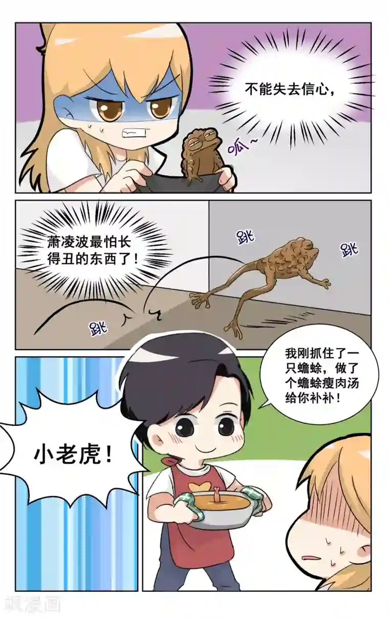 恶魔总裁专宠妻端午番外