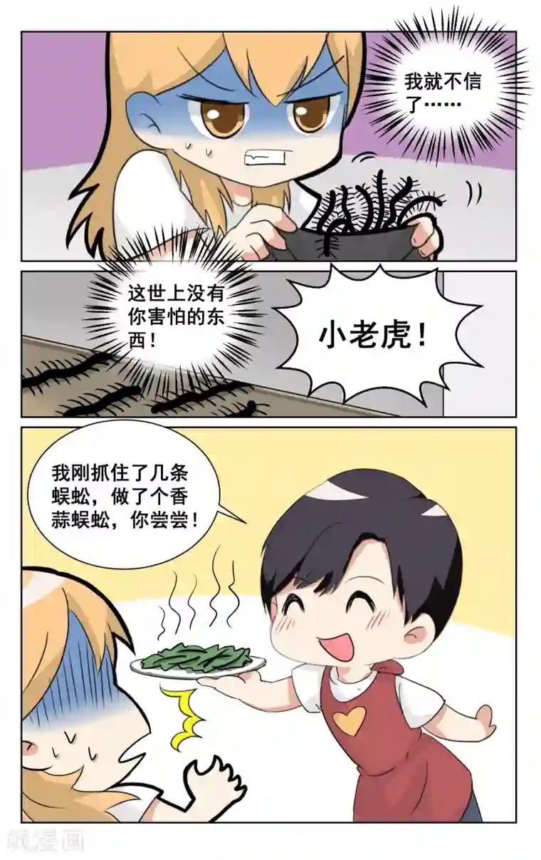 恶魔总裁专宠妻端午番外