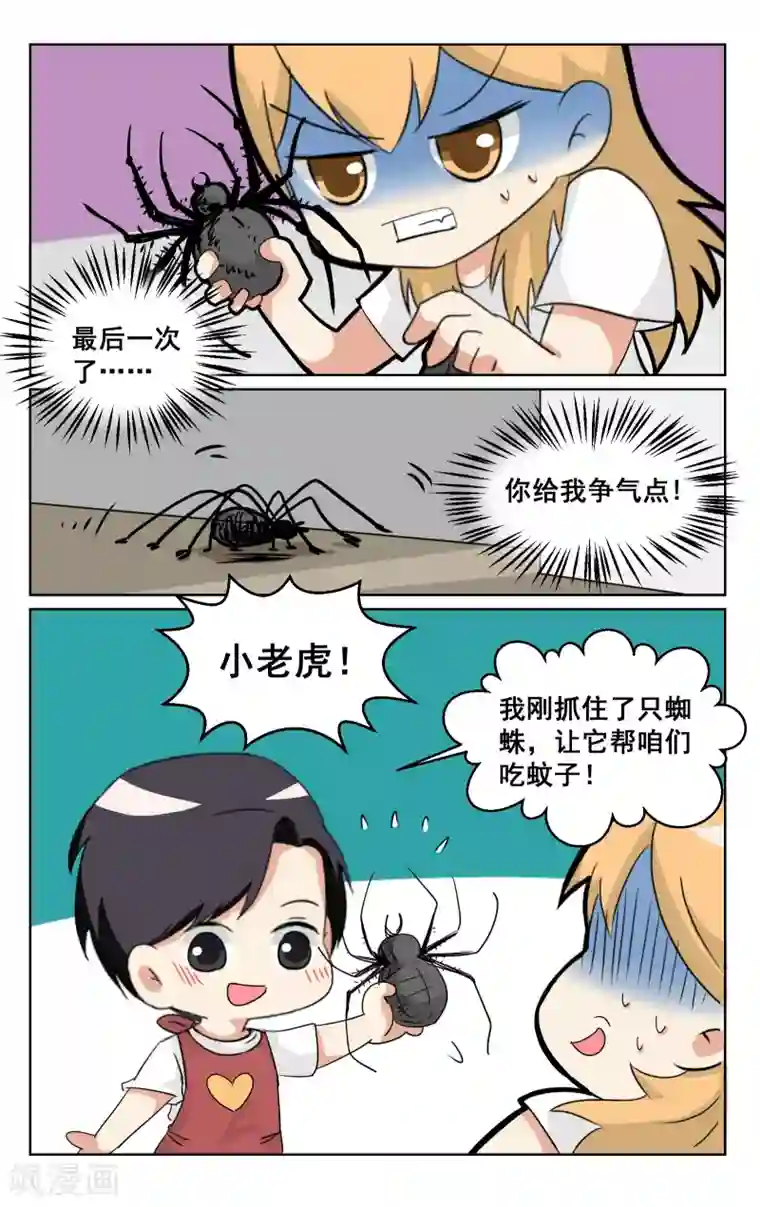 恶魔总裁专宠妻端午番外