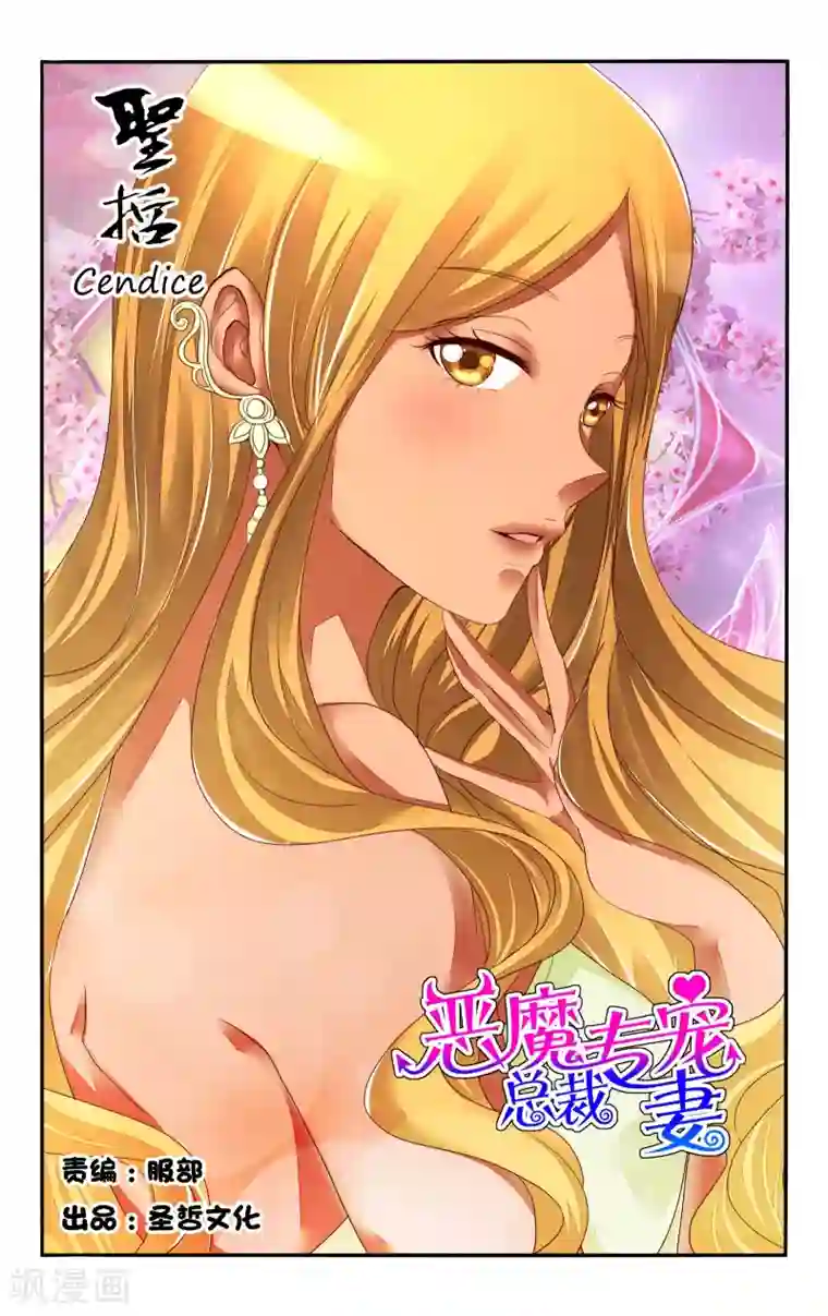 恶魔总裁专宠妻第100话