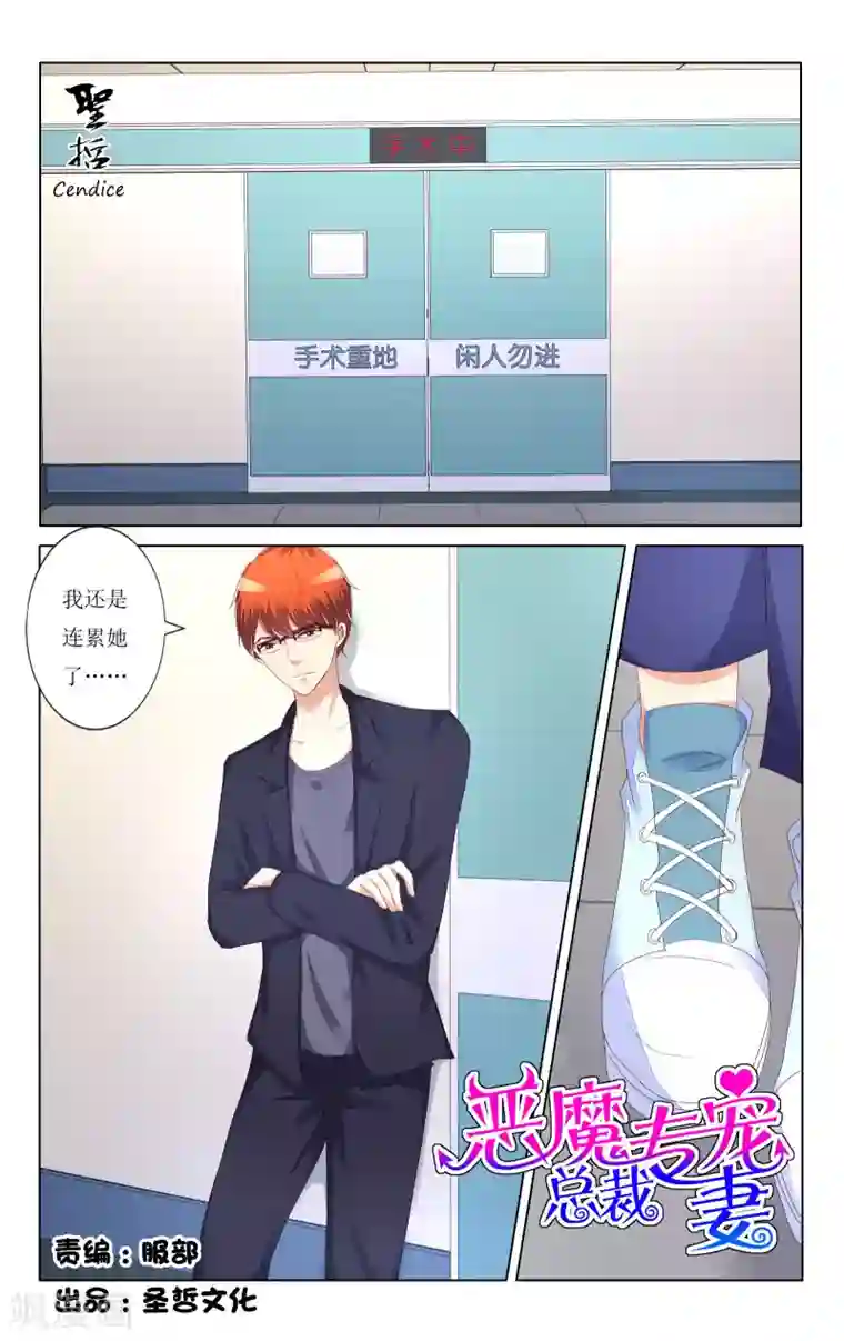 恶魔总裁专宠妻第103话