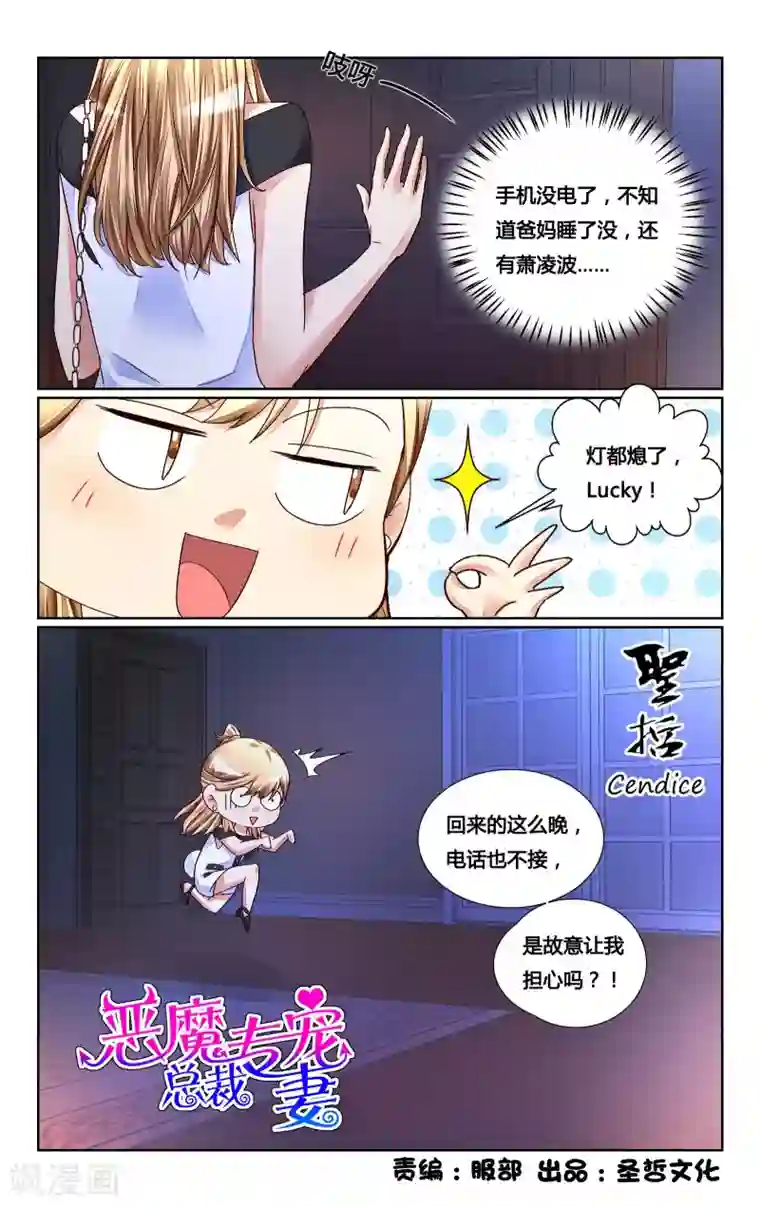 恶魔总裁专宠妻第147话