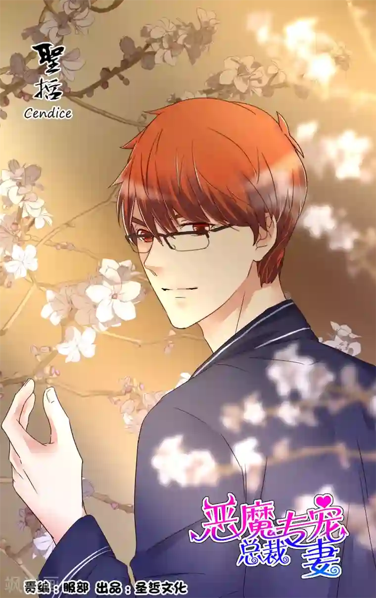 恶魔总裁专宠妻第155话