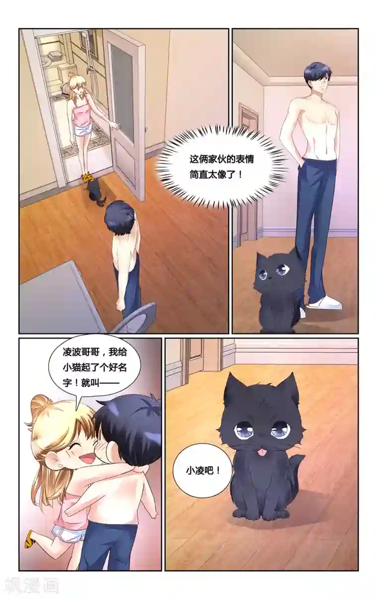 恶魔总裁专宠妻第163话