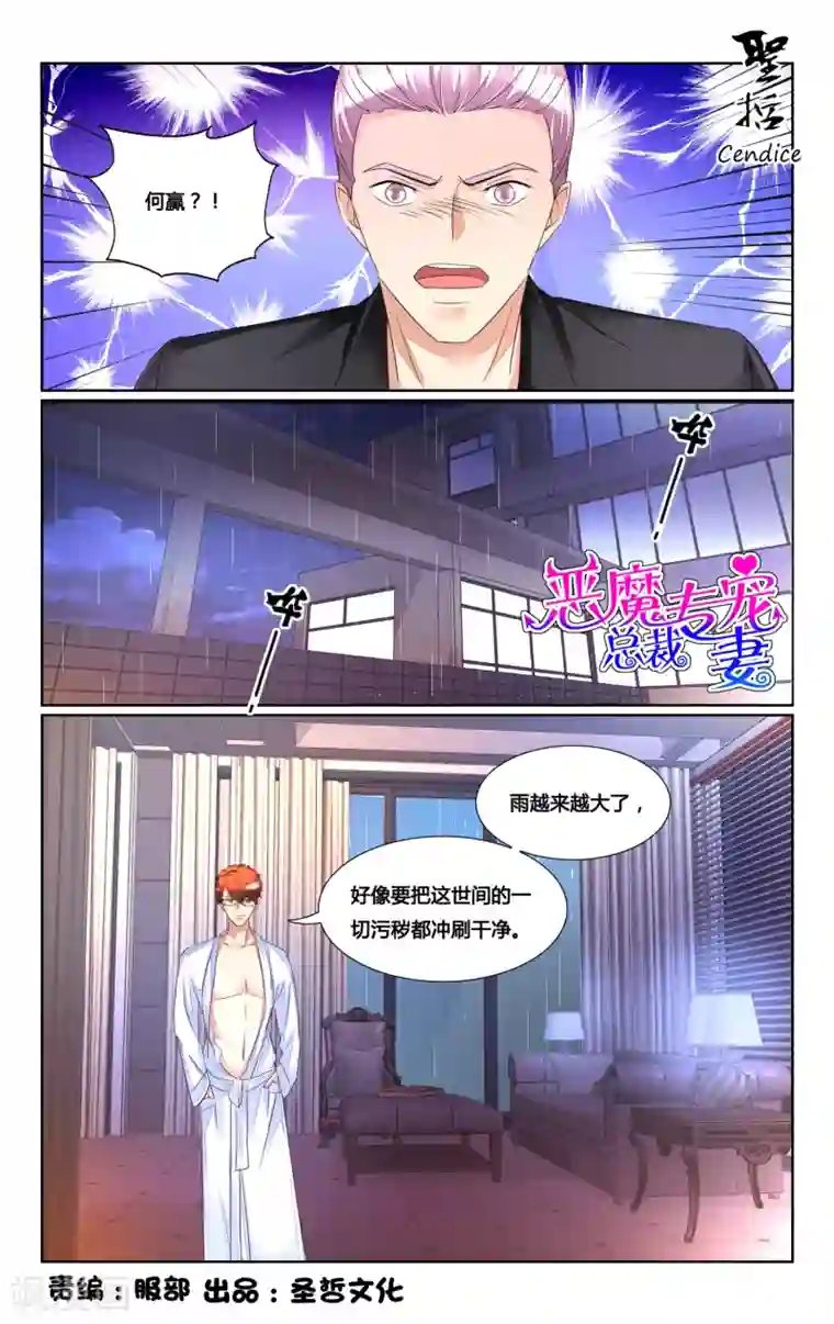 恶魔总裁专宠妻第172话