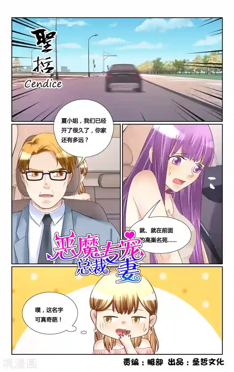 恶魔总裁专宠妻第176话