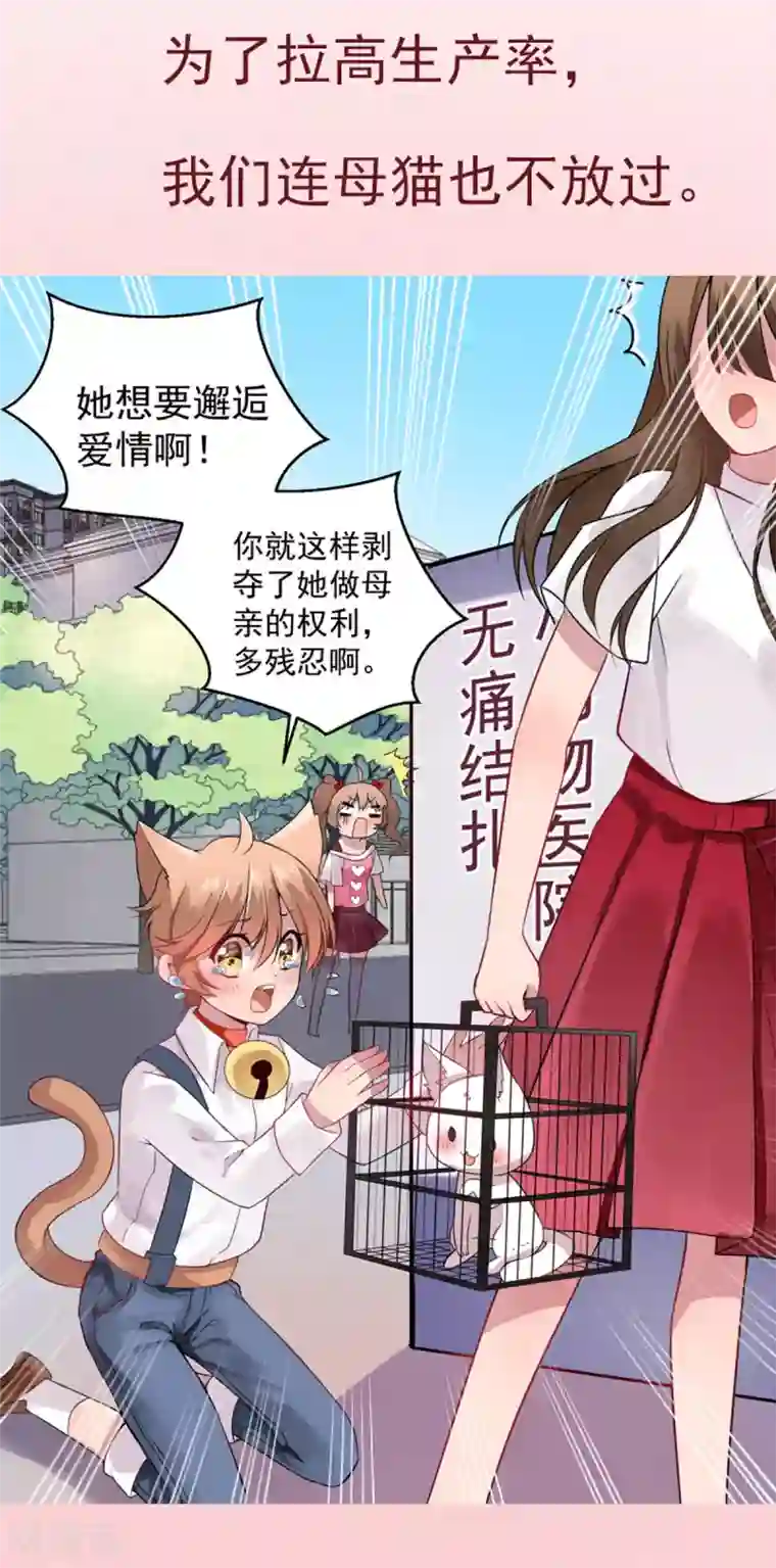 神仙大人求收养预告