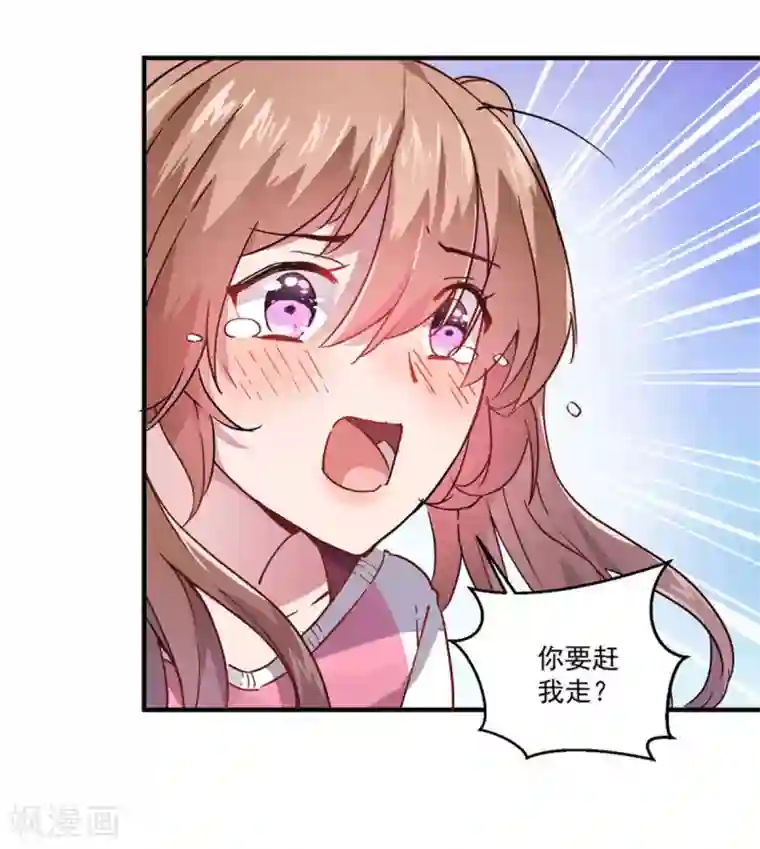 神仙大人求收养第3话 收留我吧！
