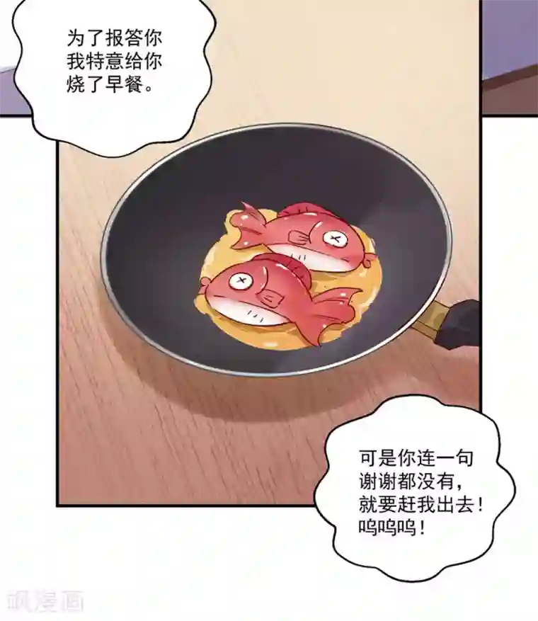 神仙大人求收养第3话 收留我吧！