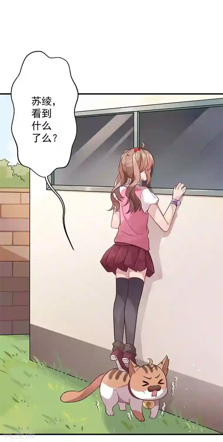 神仙大人求收养第5话 记忆置换