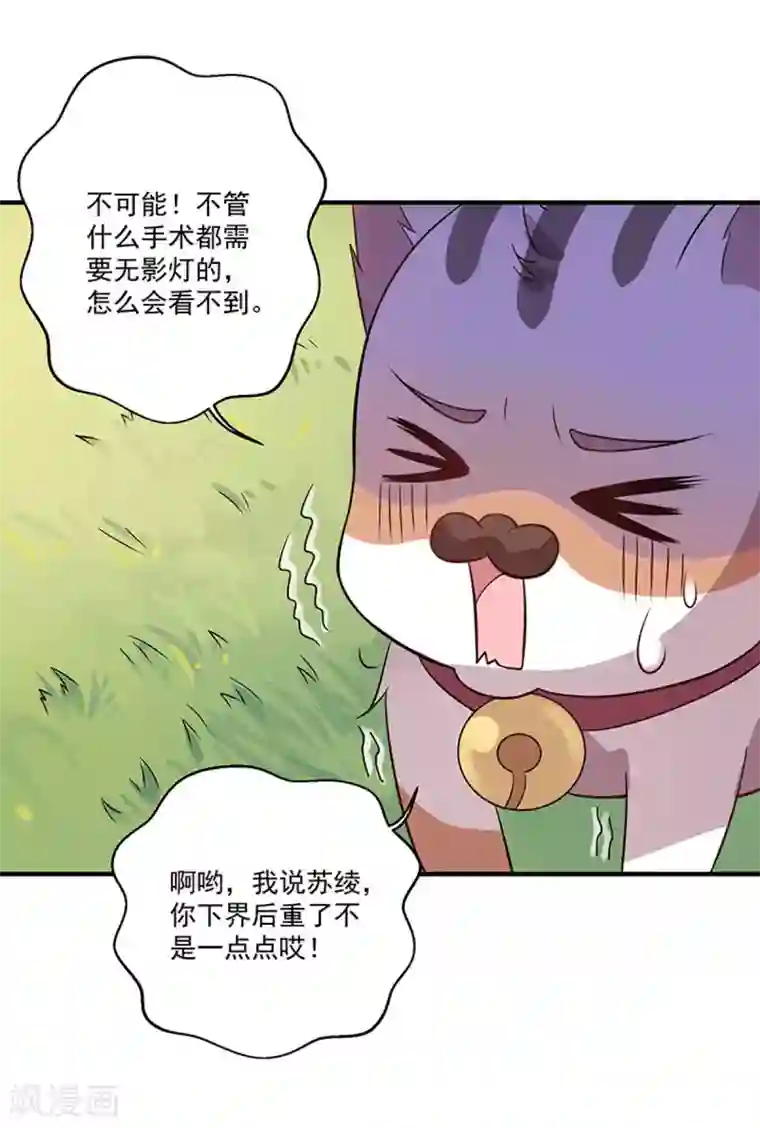 神仙大人求收养第5话 记忆置换