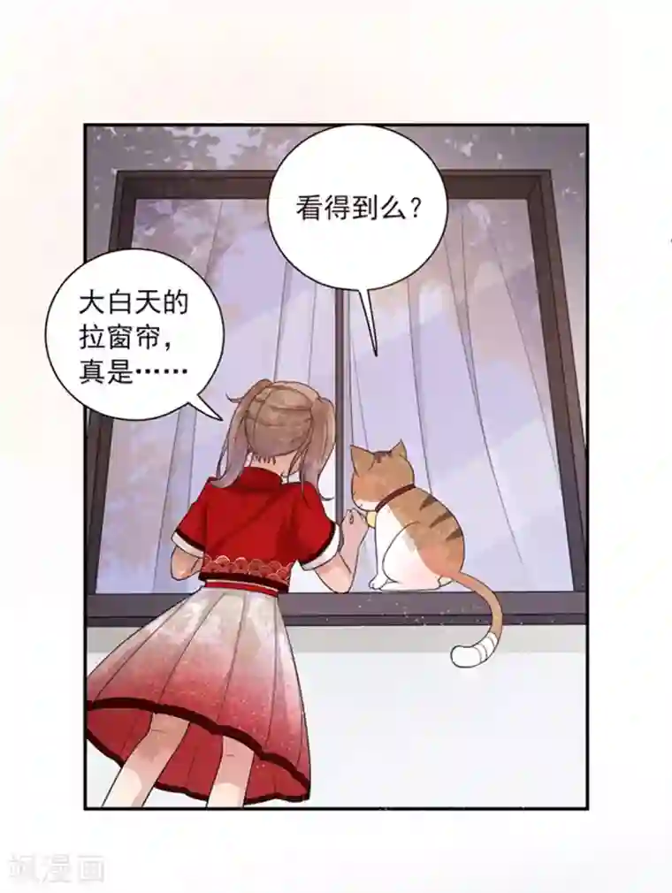 神仙大人求收养第15话 般配