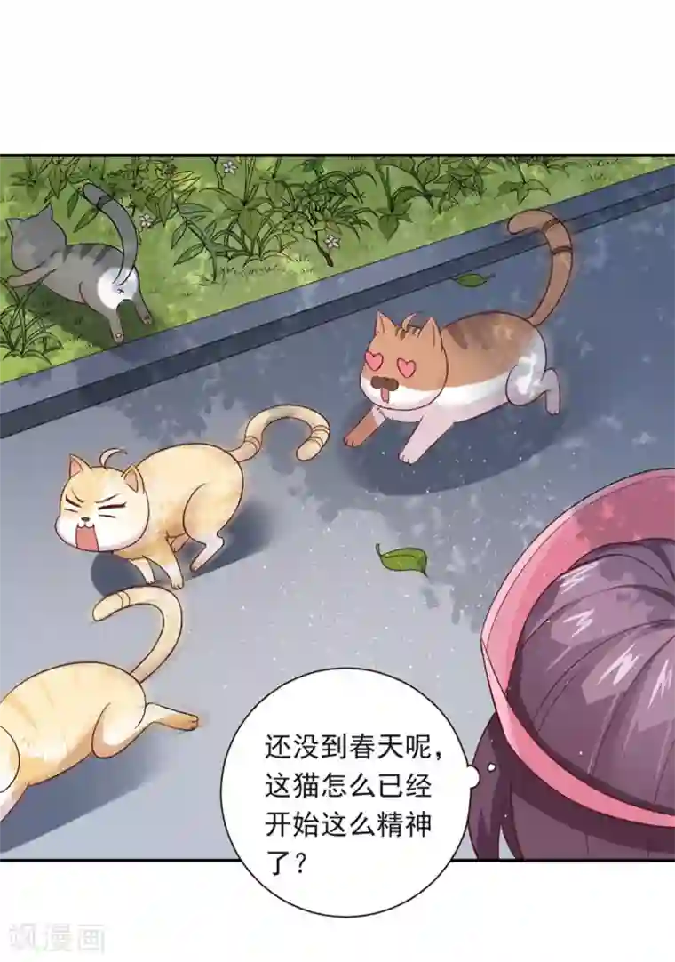 神仙大人求收养第16话 圣婴灵核