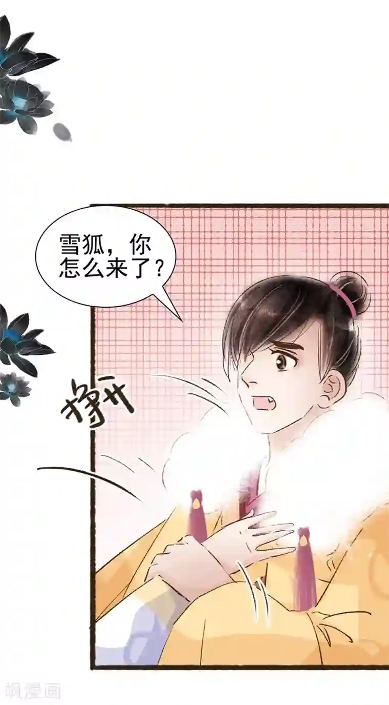 非典型女配第58话