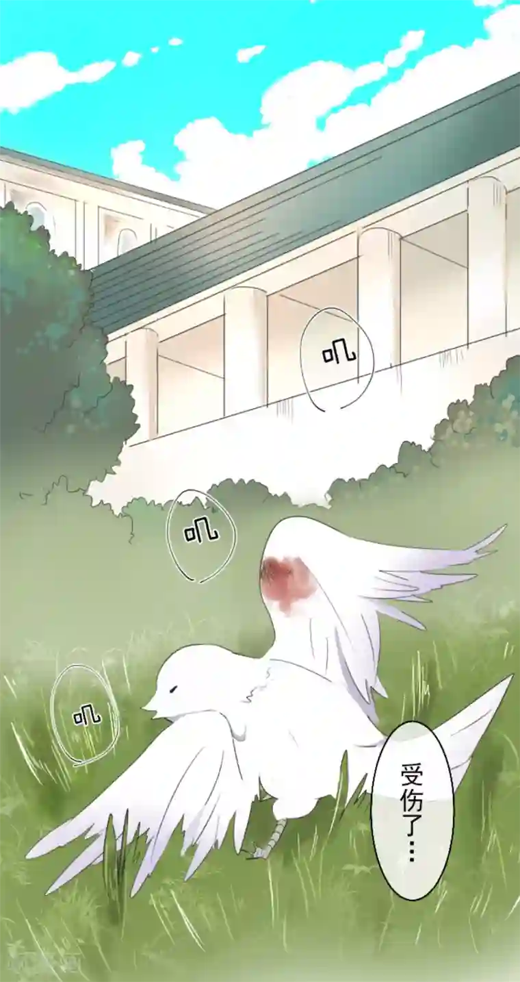 他和她的魔法契约第6话 情报