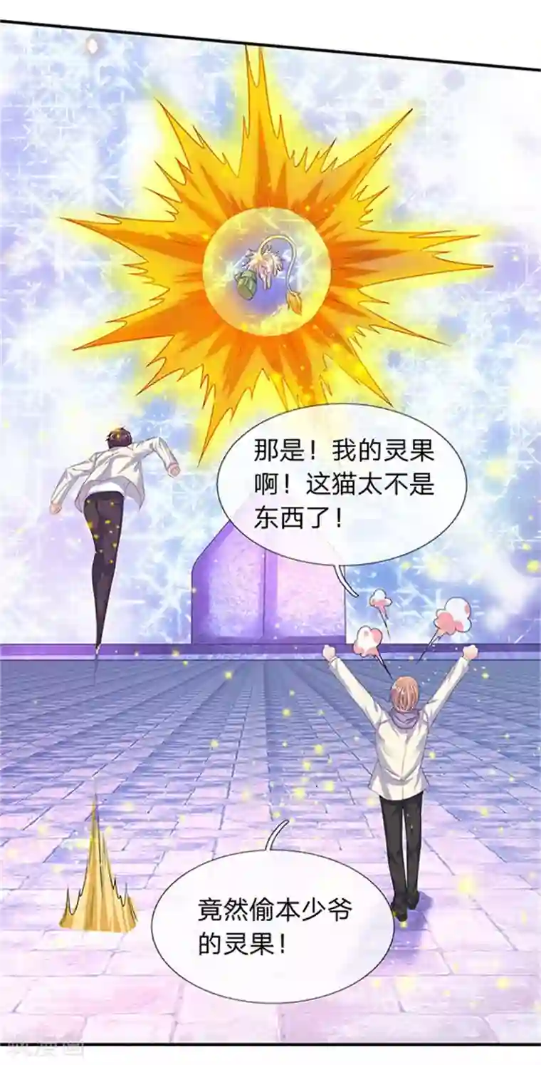 万古神王第81话 令牌