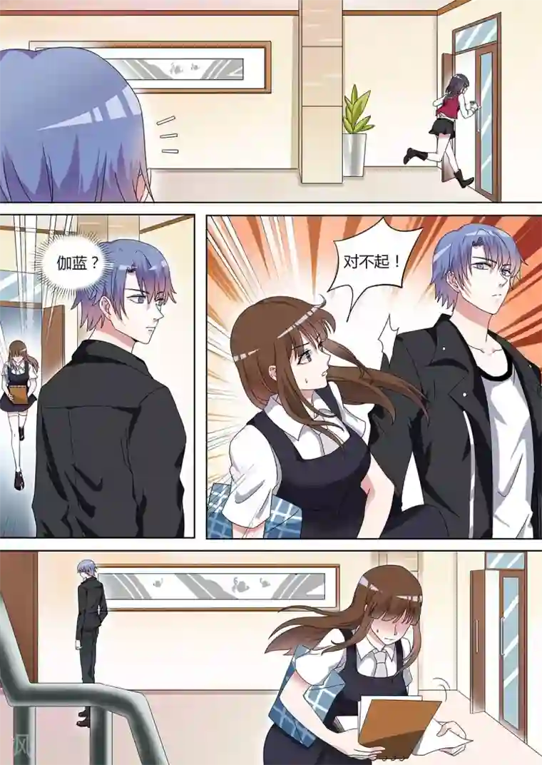 如果不遇江少陵第17话