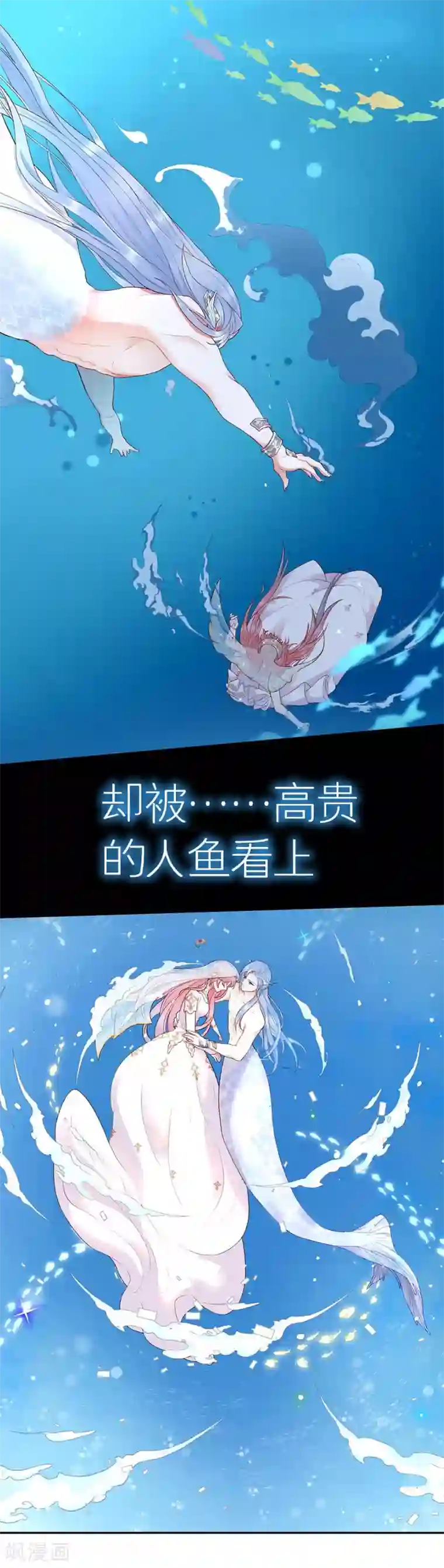 桃子味的人鱼先生预告