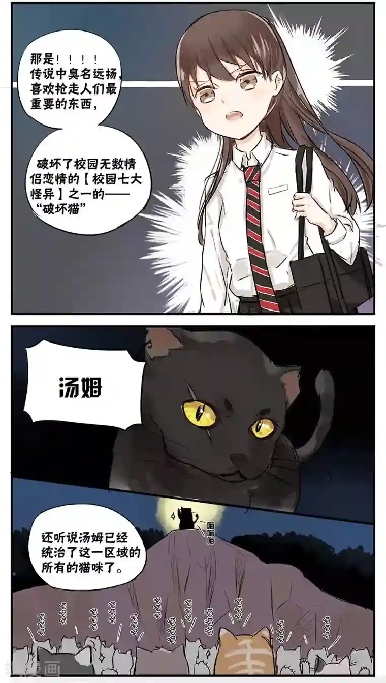 蜜糖方程式第6话