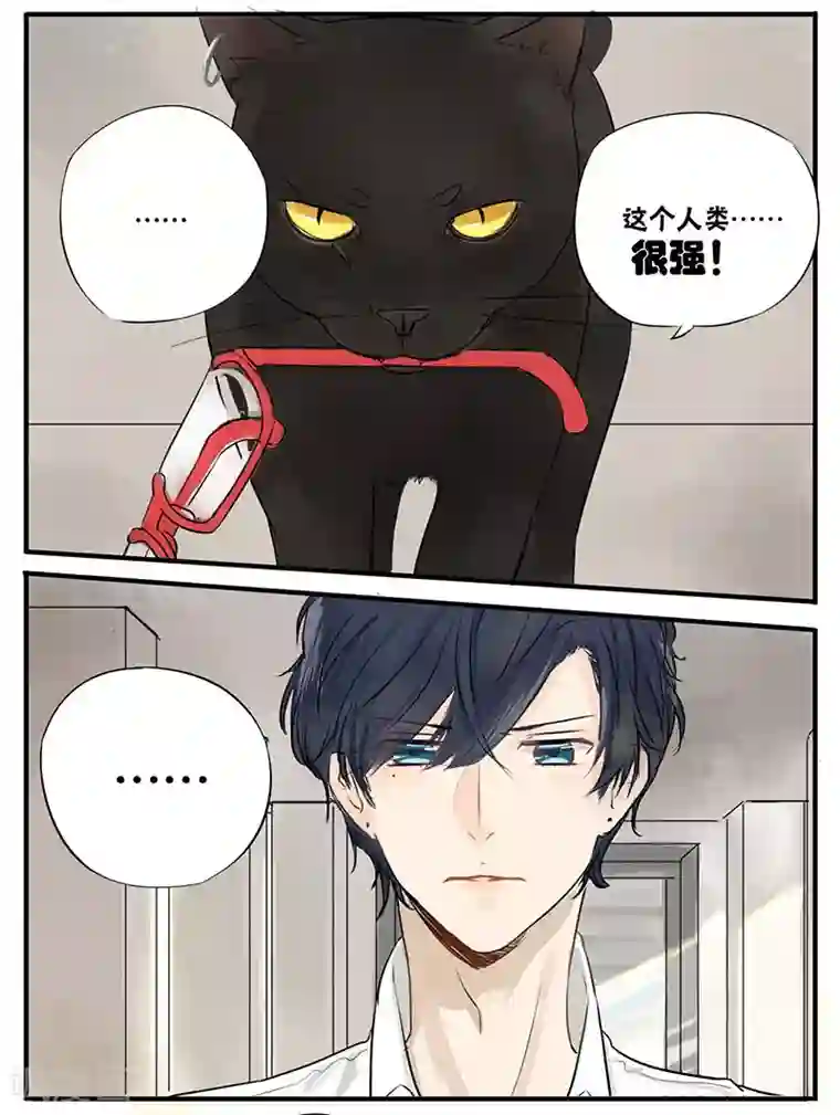 蜜糖方程式第7话