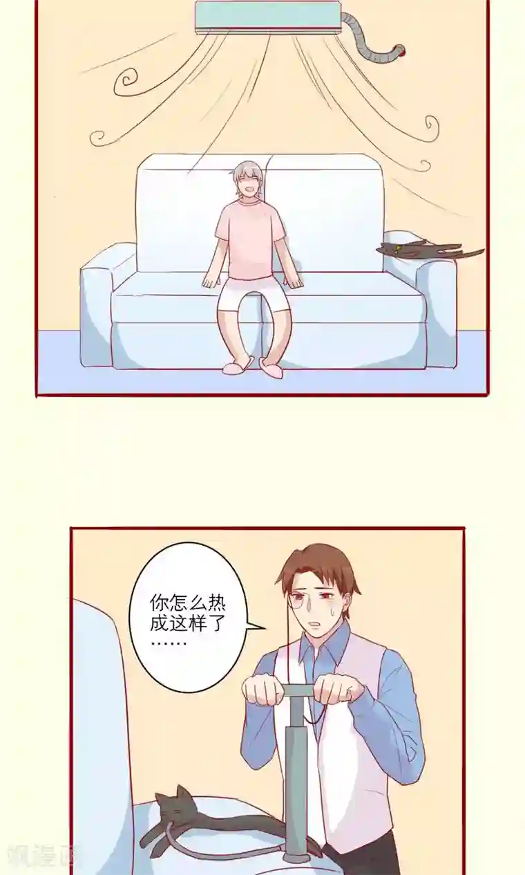 神烦第35话