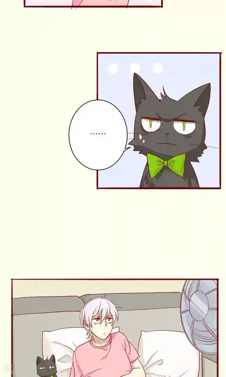 神烦第47话