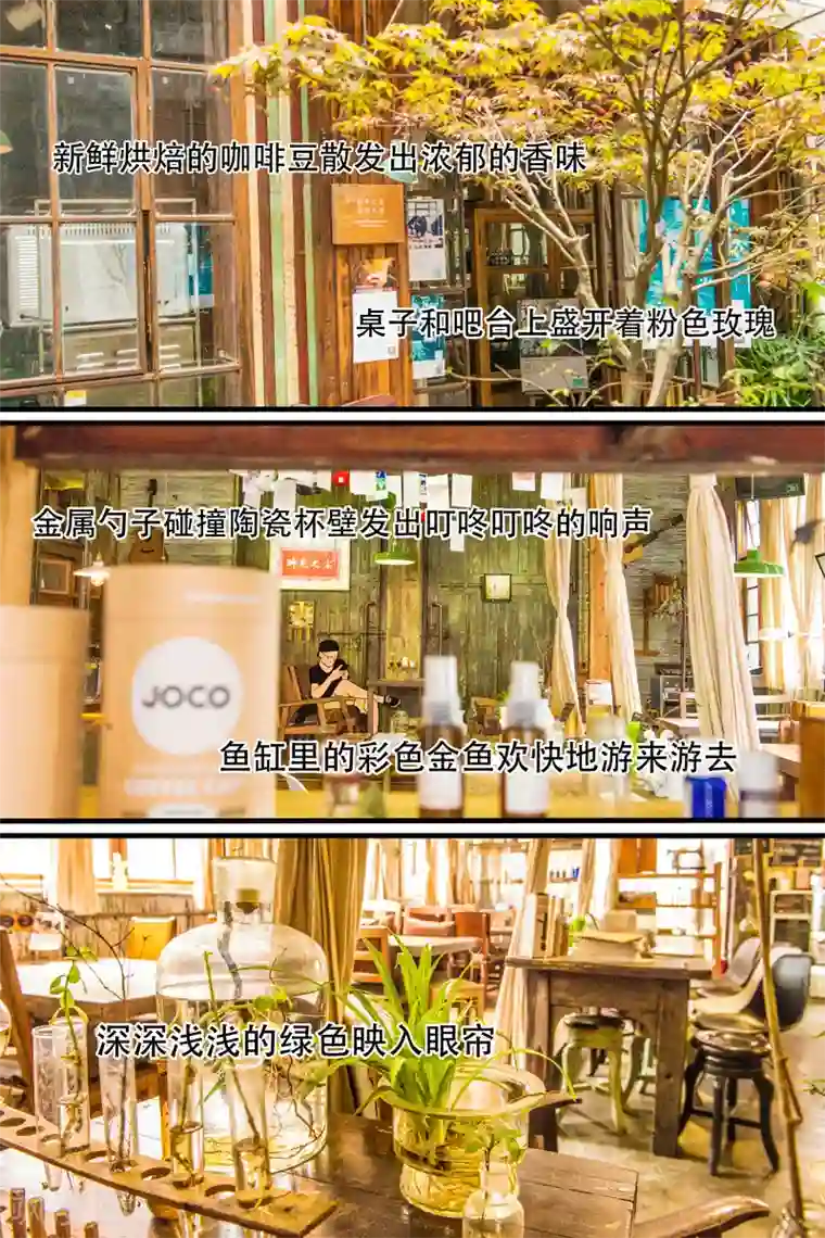 扑吃食堂第15话 手冲咖啡