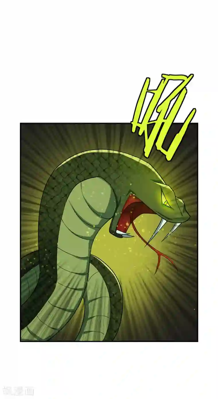 妖者为王第22话 武院联赛，正式开始