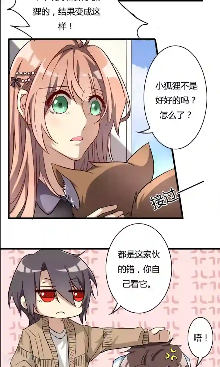 深圳合租记第29话 灵狐肖玲