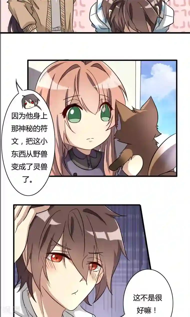 深圳合租记第29话 灵狐肖玲