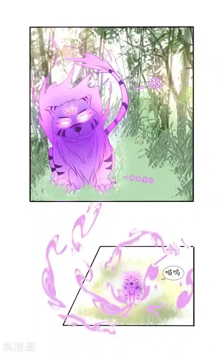 杨幂和佟丽娅比腿第5话 神兽参齐